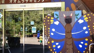 夏休み家族連れが訪れていました