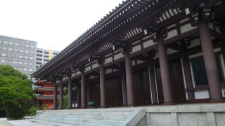 写真に撮るのが難しい