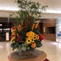 玄関の中でお出迎え