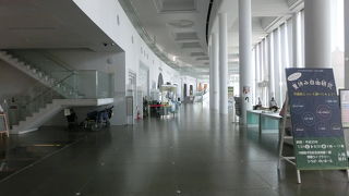 心が痛いです。