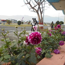 のどかなローカル空港だが、花壇の手入れは良い。