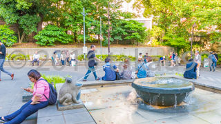 カエルが口から噴水を吐き出しているさまがとてもカワイイです。