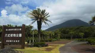 頑張っている様子は伝わるが