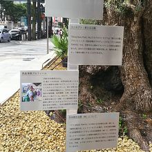 コンセプトが書いてあります！