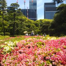 庭園にはツツジやバラが植えられ、芝生や樹木とマッチしている。