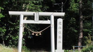 さびしげでした