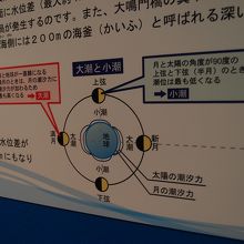 渦潮の説明にかかせない月との関係性