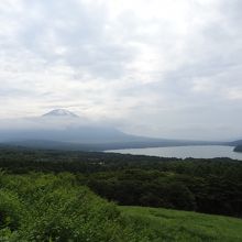 富士山を左に配置　富士山の右に南アルプスが見えます