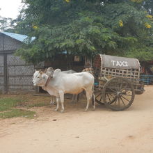 牛車のタクシー