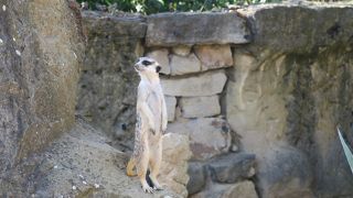 暑い日でした！プラハカードで無料入場できたので行ってみたのですが、すごく良かった！