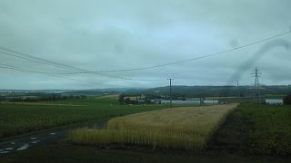 空港も近い朝日ヶ丘公園にある展望台