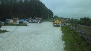 ホタテ貝がらが敷き詰められていました