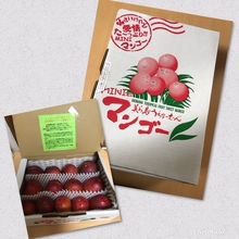 ミニマンゴー（１３玉）　￥２８００