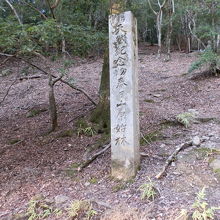 「天然記念物　春日山原始林」の石碑がありました。