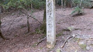 春日山原始林の中を通る道は歩き易い