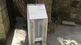 色んな猿を探して観るのも面白いです