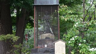 新吉原の女性が水難事故で亡くなった息子を悼んで