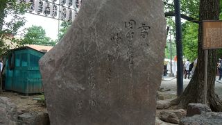 浅草は芸事の聖地ですから