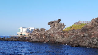 言われてみると龍に似ている