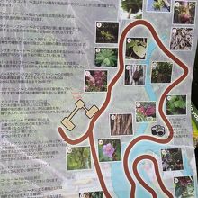 日本語パンフレット