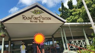 熱帯雨林探検と動物とのふれあい