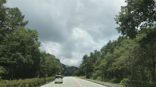 緑豊かなドライブロード