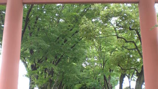 氷川神社参道の氷川参道は、中山道から、武蔵一宮である氷川神社に至る参道です。