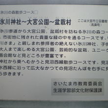 氷川神社、氷川参道に加え、盆栽村を訪れるコースもあります。