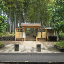 氷川参道の途中には、氷川の杜文化館も優雅な姿を見せています。