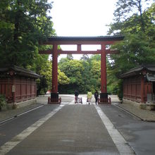 氷川参道の最北側の鳥居です。これから氷川神社の境内内です。
