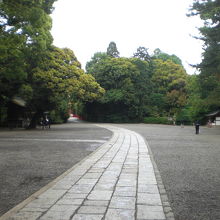 氷川参道の道が、石畳と変わり、氷川神社の境内に続いています。