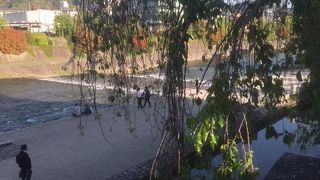 いろいろな角度から川の表情が楽しめます。