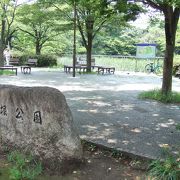 広い都市型公園