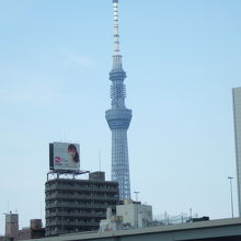 隅田川から見たスカイツリー