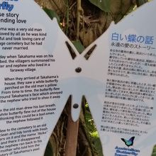 蝶の出て来るお話