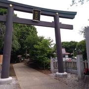 神社の周囲にある高い緑の多い木々の美しさにも、たいへん感動