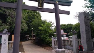 神社の周囲にある高い緑の多い木々の美しさにも、たいへん感動