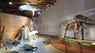 良かったです！オススメです！子どもは絶対喜ぶと思います！