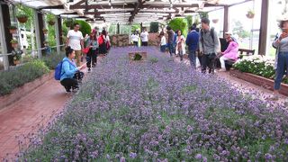 施設の質が充実、魅力も有りますね！　～　ファーム富田