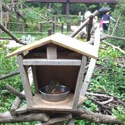 さいたま市 市民の森 クチコミ アクセス 営業時間 大宮 フォートラベル さいたま市 市民の森 クチコミ アクセス 営業時間 大宮 フォートラベル