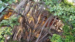 きれいで便利です！