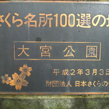 大宮公園の環境は、高く評価されていて、桜の名所でもあります。