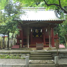 大宮公園の付近には、隣接する氷川神社の建物が多くあります。