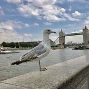 ロンドン観光に最適です！