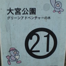 大宮公園には、多くの樹木が植えられていて、森を形成しています