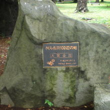 大宮公園の中には、遺跡もあり、各種の石碑も置かれています。