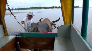 まあ一番の観光地なのでいってもいいかな　島内レストラン少ないのでここで昼食も