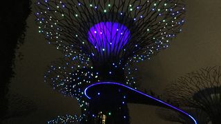 ちょっと怖い空中散歩です