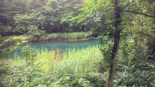 昔は赤かった？