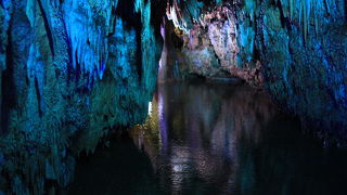 きれいに整備された感じ